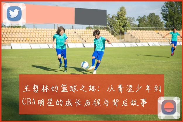 王哲林的篮球之路：从青涩少年到CBA明星的成长历程与背后故事